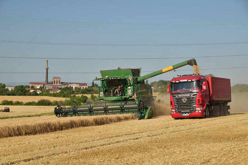 Vcerejsi-podvecerni-sklizen-ozimeho-jecmene-s-kombajnem-John-Deere-T670-v-podniku-Lhota-pod-Libcany.jpg