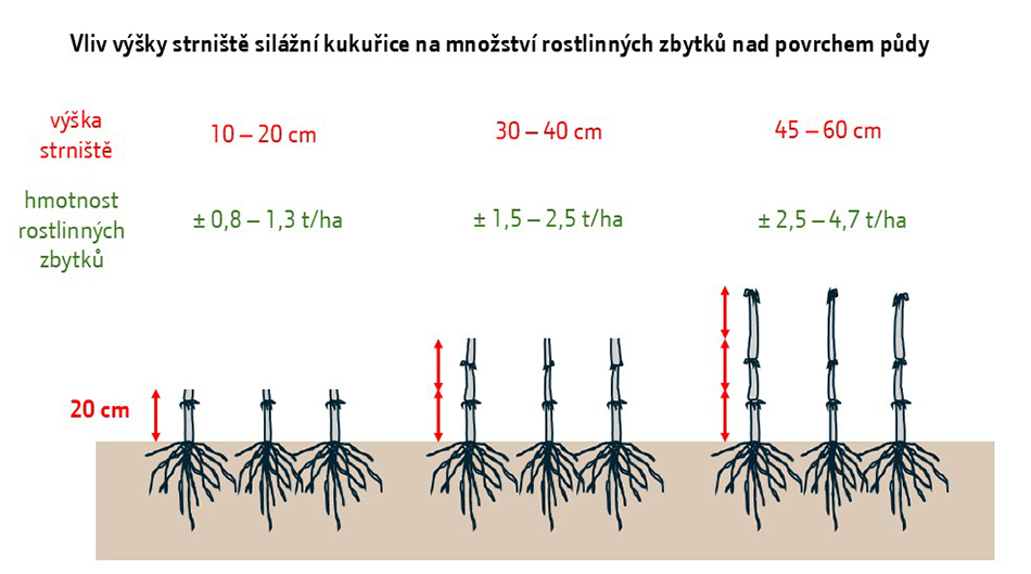 Bednar-TillCut-Obr1-1.jpg Obr. 1: Vliv výšky strniště na množství rostlinných zbytků na povrchu půdy u silážní kukuřice.