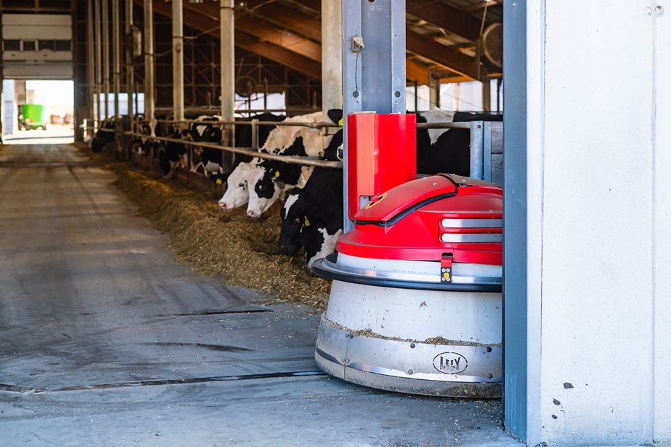 ​Na farmě chovají 400 kusů skotu. Při péči o zvířata stále více využívají roboty.