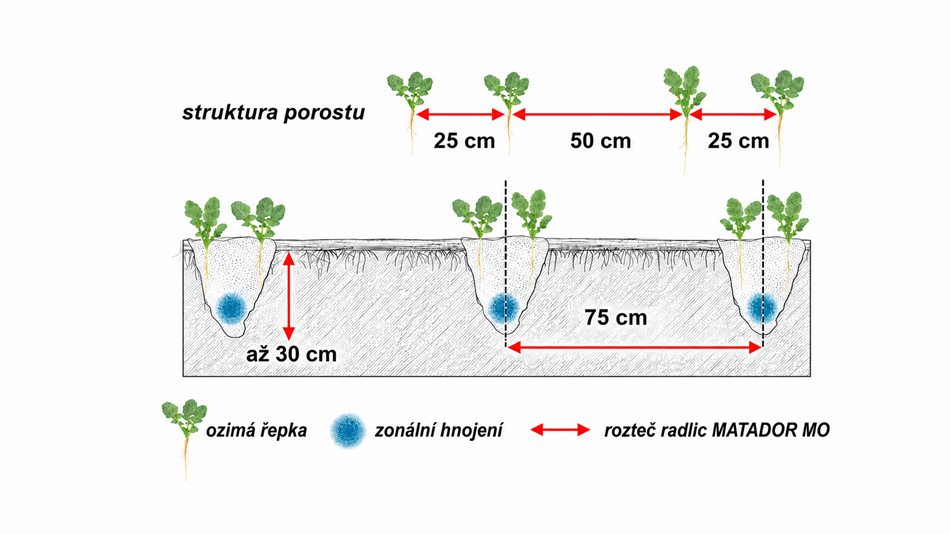 Jednou z možností je nastavení kypřících radlic MATADOR MO na rozteč 75 cm. V nakypřeném pásu následně stroj vysévá dva řádky ozimé řepky vzdálené 25 cm. Výsledkem je pravidelně se opakující systém 25–50–25 cm.