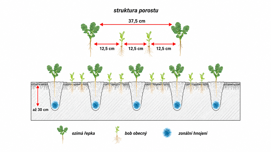Při rozteči radlic 37,5 cm lze technologii rozšířit také o současný výsev pomocné plodiny do meziřádku.